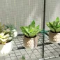 Invernadero de Jardín
