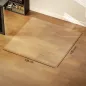 Alfombra Protectora