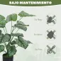 Plantas Artificiales Plantas Artificiales