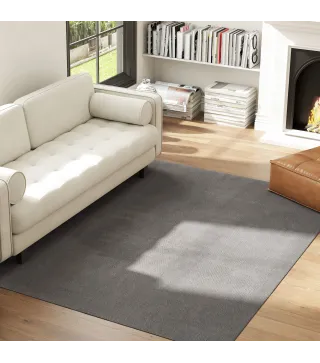 Alfombra Salón 160x230 cm Lavable en Lavadora Pelo Largo Estilo Moderno Tapete para Sala de Estar Dormitorio Gris Claro