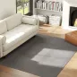 Alfombra Salón 160x230 cm Lavable en Lavadora Pelo Largo Estilo Moderno Tapete para Sala de Estar Dormitorio Gris Claro