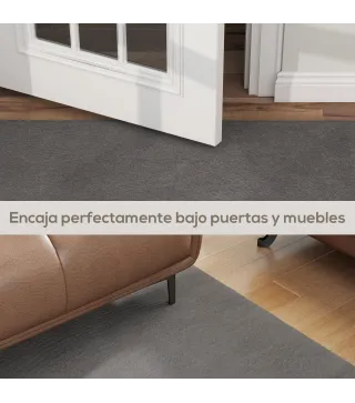 Alfombra de Salón
