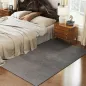 Alfombra Salón 160x230 cm Lavable en Lavadora Pelo Largo Estilo Moderno Tapete para Sala de Estar Dormitorio Gris Claro