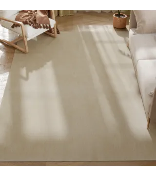 Alfombra de Salón