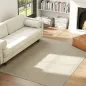 Alfombra Salón 160x230 cm Lavable en Lavadora Pelo Largo Estilo Moderno Tapete para Sala de Estar Dormitorio Crema