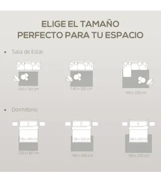 Alfombra de Salón