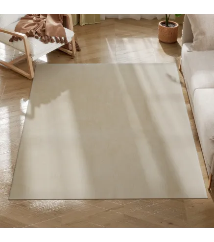 Alfombra de Salón