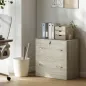 Cajonera de Escritorio con 2 Cajones con Guías para Carpetas Colgantes para A4 Cerradura y 2 Llaves 77x42x72 cm Natural