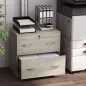 Cajonera de Escritorio con 2 Cajones con Guías para Carpetas Colgantes para A4 Cerradura y 2 Llaves 77x42x72 cm Natural