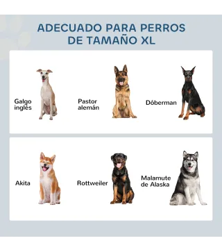 Comedero para Perros