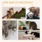 Rascador para Gatos