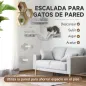 Juego de Pared de Escalada para Gatos con Postes de Sisal Plataforma Doble con Escalera y 1 Plataforma para Saltar Gris
