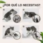 Juego de Pared de Escalada para Gatos con Postes de Sisal Plataforma Doble con Escalera y 1 Plataforma para Saltar Gris