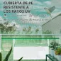 Invernadero de Túnel