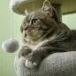 Rascador para Gatos Altura 104 cm Árbol para Gatos con Postes de Sisal Cueva Plataformas y Bolas Colgantes Gris Claro