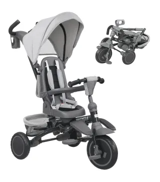 Triciclo Evolutivo