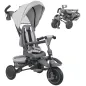 Triciclo Evolutivo 6 en 1 Plegable Asiento Giratorio de 360° Mango Parental Respaldo Reclinable Toldo Gris
