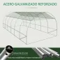 Invernadero de Túnel