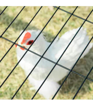 Jaula para Gallinas de Acero