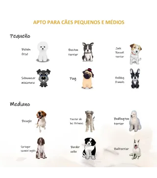 Cama para Perros de Mimbre