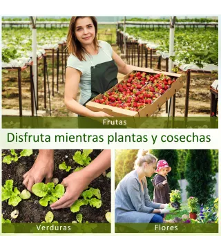 Invernadero de Jardín