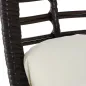 Sillón de Exterior de Ratán