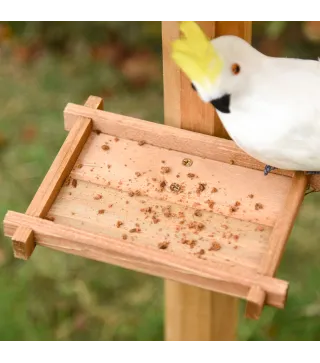 Comedero para Pájaros de Pie
