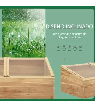 Invernadero de Madera