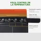 Barbacoa de Gas