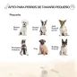 Casa para Perros de Madera