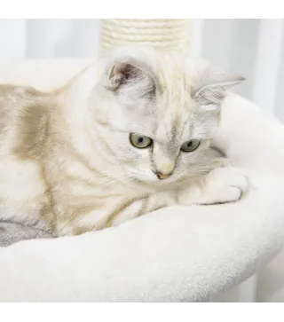Árbol Rascador para Gatos