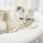 Árbol Rascador para Gatos