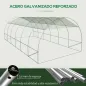 Invernadero de Túnel