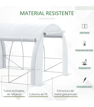 Invernadero de Túnel