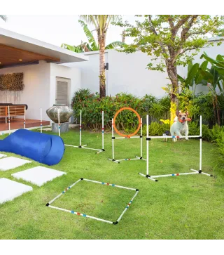 Conjunto de Entrenamiento para Mascotas
