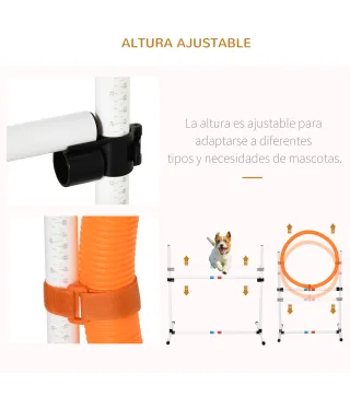 Conjunto de Entrenamiento para Mascotas
