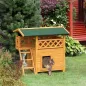 Caseta para Gatos