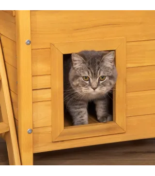 Caseta para Gatos