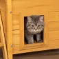 Caseta para Gatos