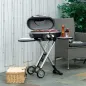 Barbacoa de Gas
