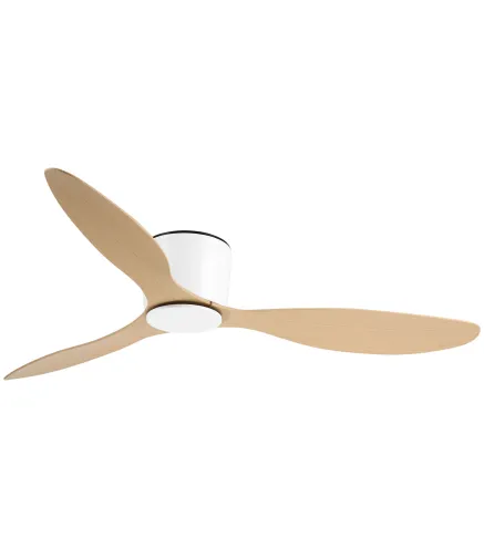 Ventilador de Techo