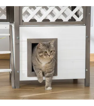 Caseta para Gatos