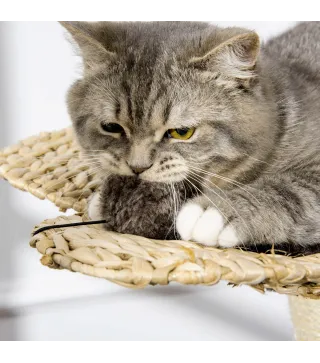 Árbol para Gatos
