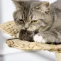 Árbol para Gatos
