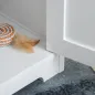 Casa para Gatos