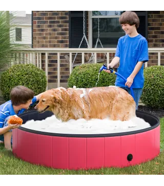 Piscina para Mascotas