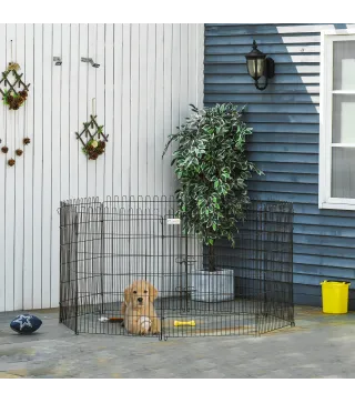 Parque de Perros