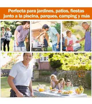 Barbacoa de Carbón
