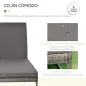 Conjunto 2 Tumbonas y 1 Mesa de Ratán