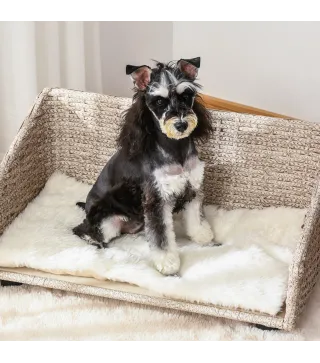 Sofá Cama de Mimbre para Mascotas